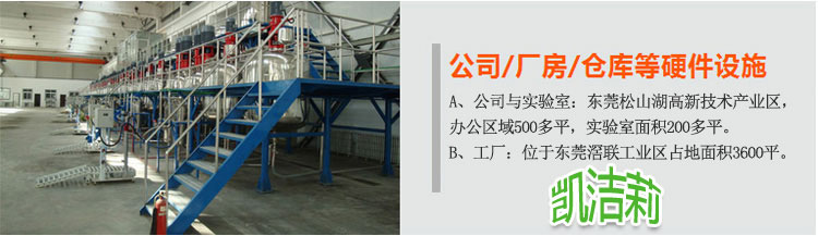 凱潔莉洗衣粉/洗滌劑生產設備